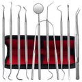 Jimy Dental Tools Set of 10Pcs, Professional Plaque Remover (10 Pack Dental Tools)