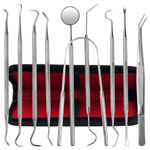Jimy Dental Tools Set of 10Pcs, Professional Plaque Remover (10 Pack Dental Tools)