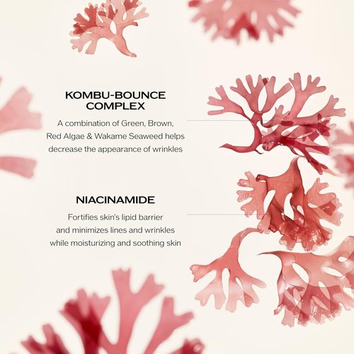 Shiseido Benefiance Wrinkle Smoothing Cream - Anti-Aging Moisturizer for Dry Skin - Visibly Reduces Wrinkles & Hydrates