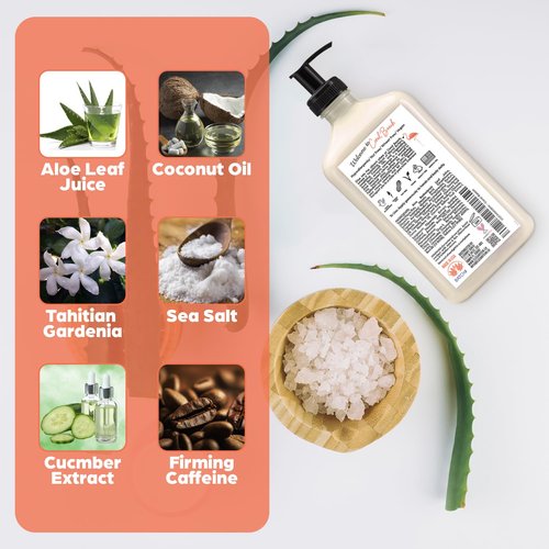Elegant Sun Coral Beach Daily Moisturizer, Tan Extender Lotion, for After Sun or Tanning Bed, Aloe Vera base, Hypoallergenic, Sensitive Skin, Great for Men and Women, Unisex Fresh Scent