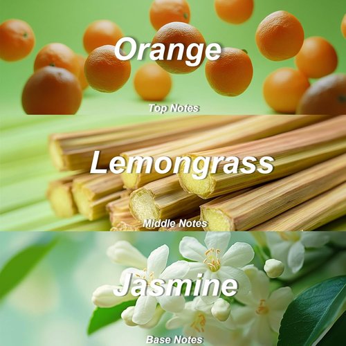 Vassili Fragrance Body Wash - Hydrating Citrus Aroma with Orange Blossom & Green Tea | 12.3 Fl Oz