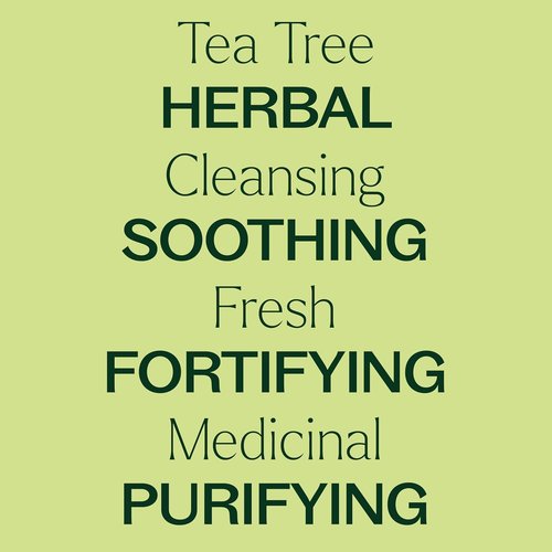 Plant Therapy Organic Tea Tree Oil - 100% Pure & USDA Certified Organic, Therapeutic Grade 30 mL (1 oz)