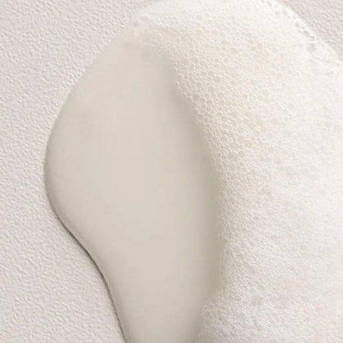 Davines Naturaltech Replumping Shampoo - Moisturizing Formula for Fine Hair | 8.45 Fl Oz with Plum Phytoceuticals