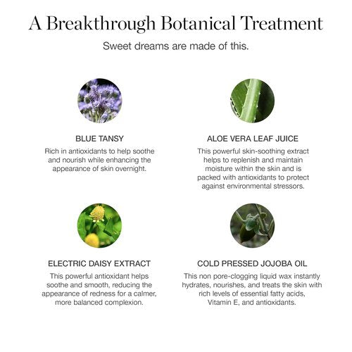 Indigo Dream Renewal Cream - Hydrating Face Moisturizer with Hyaluronic Acid & Ceramides | Organic & Cruelty-Free