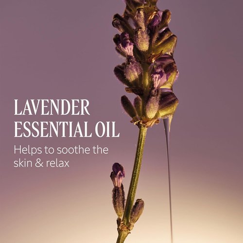 L'OCCITANE Lavender Liquid Soap - Nourishing Shea Formula for Hands & Body | 16.90 Fl Oz