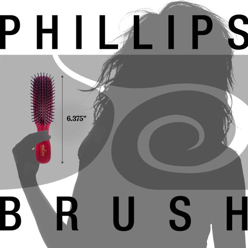 Phillips Brush Light Touch 6 Ruby Red Hair Brush and Petite-sized Combo Pack