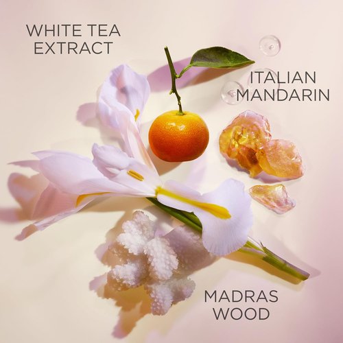 Elizabeth Arden White Tea Cream Deodorant - Refreshing 1.5 Oz for Women | Long-Lasting Protection