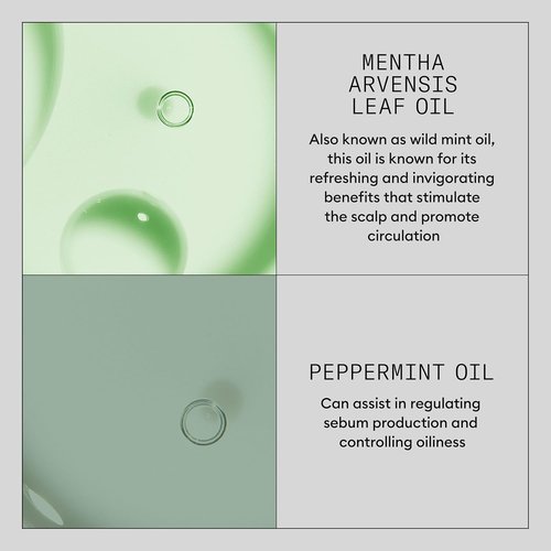 Nioxin Hair Booster Serum - Advanced Leave-In Treatment for Strengthening & Conditioning | 3.4 Fl Oz