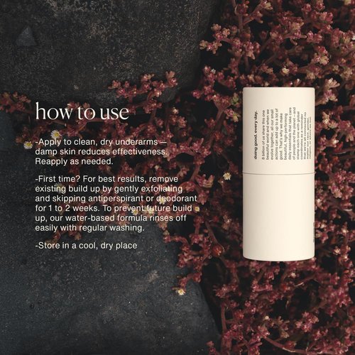 Evolve Together Aluminum-Free Natural Deodorant - Vetiver & Cedarwood | Soothes Skin, Neutralizes Odors | Vegan, 1.69 Oz