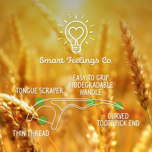 Biodegradable Dental Floss Picks 200 Count | Eco-Friendly Bamboo Like Sustainable Flossers for Enviromentally Conscious Adults and Kids Teeth Cleaning