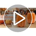 Fall Pumpkin Ceramic Utensil Holder - Orange Pumpkin Kitchen Decor