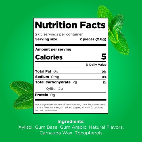 PUR Gum - Aspartame Free Chewing Gum | Natural Spearmint Flavor | 55 Pieces Pack
