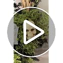 Halloween Skeleton Wreath for Front Door - Handcrafted 20-Inch Door Decor