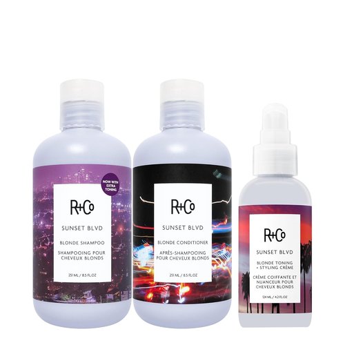 R+Co Sunset Blvd Daily Blonde Shampoo - Brightening & Brassiness Combat | Hydrating | Vegan & Cruelty-Free | 8.5 Fl Oz
