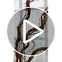 63-Inch Faux Tree Trunk Branch Wall Hanging with Vines for Decor