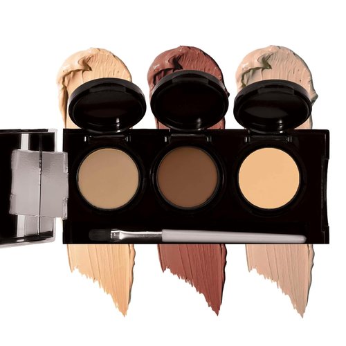Dermaflage Waterproof Concealer Palette - Full Coverage Matte Finish for Face & Body | Hides Dark Circles & Acne, Medium