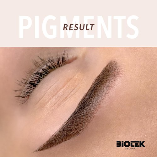 Brows Pigment for Professional Permanent Make Up - Inorganic Liquid - Dark Brown Color- Made in Italy (Martini, 0.50 Fl Oz (Pack of 1))