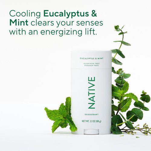 Native Deodorant - Aluminum-Free Eucalyptus & Mint Stick | 72-Hour Odor Control, 3.1 oz for All Genders
