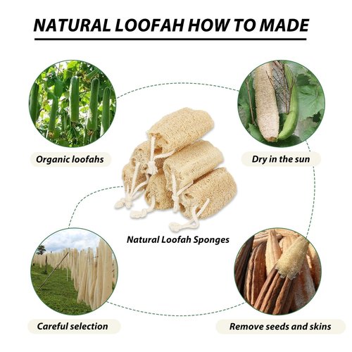 Balifeel Natural Loofah Sponge Organic Loofa Set 6 Pack,Exfoliating Body Scrubber Shower Luffa Men and Women for Bath Cleaning Skin Back and Face Eco Tool