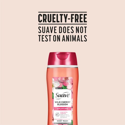 Suave Moisturizing Body Wash, with Wild Cherry Blossom and Vitamin E Extract, No Parabens, No Phtahaltes, 18 Oz Pack of 6