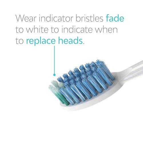 TAO Clean Daily Care Whitening Replacements Heads - White - 2 Pack