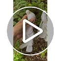 White Glitter Birds Clip-On Christmas Tree Decorations Set of 2 - 8 Inches