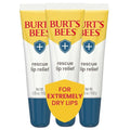 Burt's Bees Lip Relief Balm - 100% Natural Shea Butter & Echinacea - 0.35 Ounces