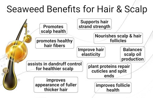 Skiennix Leave-In Conditioner - Seaweed & Algae Enriched Hair Treatment for Frizz Control | 8.5 fl. oz.