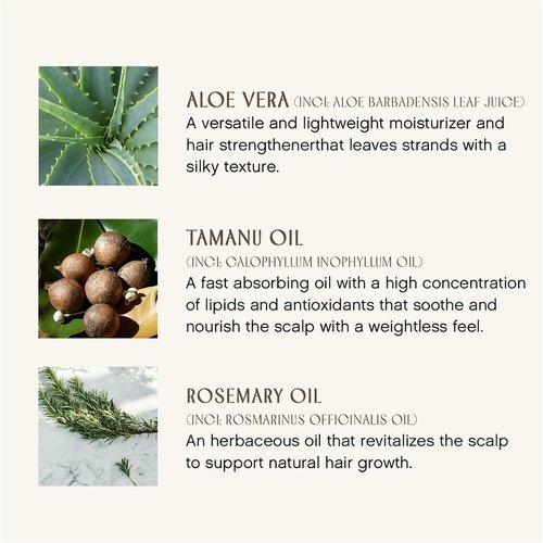 Innersense Organic Beauty - Fragrance-Free Leave-In Conditioner | Hydrating, Detangling, Smoothing | Non-Toxic, Cruelty-Free (10 fl oz)