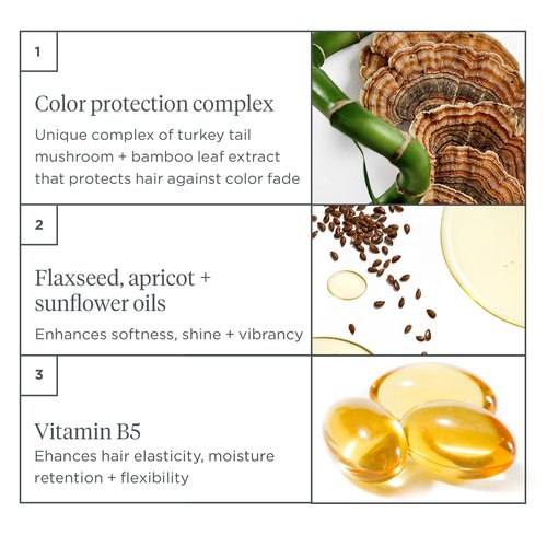 Briogeo Color Me Brilliant Conditioner - Protects Vibrant Hair Color & Hydrates | Vegan, 8 fl oz
