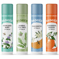 Badger Classic Organic Lip Balm Set - All-Natural Moisturizers | 4-Pack Variety (Unscented, Tea Tree, Mint & Tangerine)