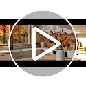 Fall Artificial Maple Leaves and Pumpkin Stem Set - 6 Pieces for Decor