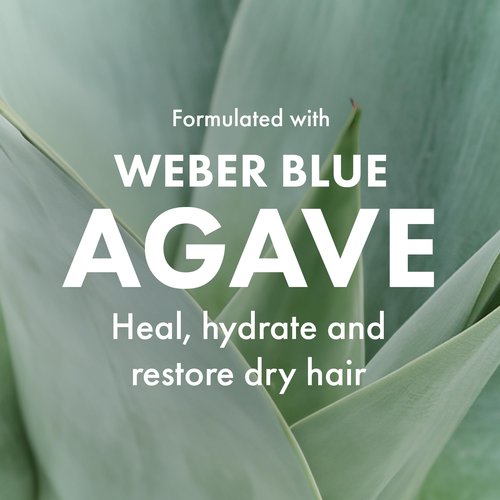 Agave Healing Oil Treatment Hydrating & Smoothing Hair Oil for Frizz Control & Shine 3.75 fl oz