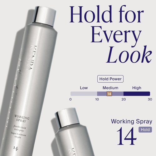Kenra Professional Platinum Working Spray 14 - Flexible Hold Hairspray | Fast-Drying & Non-Sticky | Frizz-Free Shine for All Hair Types