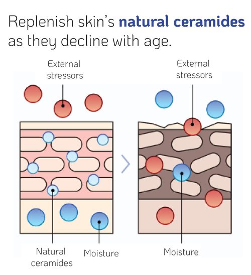 Versatile High-Potency Ceramide Concentrate Mix 1-2 Drops with Any Product Hydrating Moisturizer Enhancer Strengthening Skin Barrier 41ml