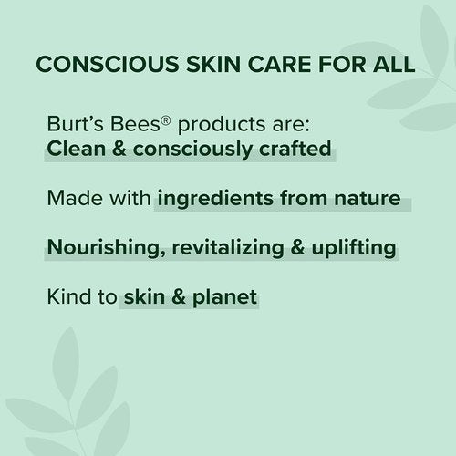 Burt's Bees Elderberry Lip Balm - Antioxidant-Rich, Tint-Free Natural Lip Care | 0.15 oz Tube