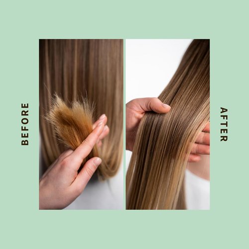 SHAERI Purifying Shampoo - Clarifying Formula for Normal to Oily Hair - Hydrates & Purifies - 6.76 oz