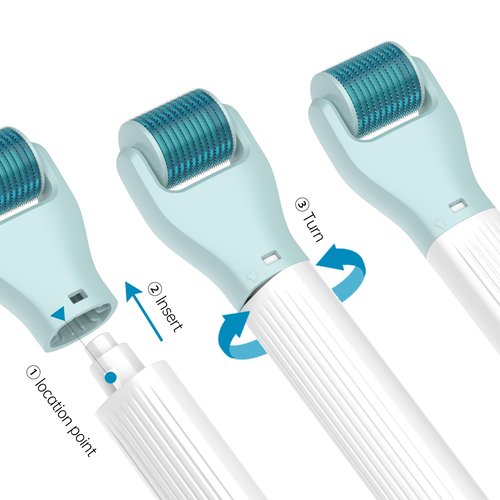 Gdbanlimi 10 in 1 Derma Roller Kit, 0.25mm Microneedling Roller Microneedle Derma Roller with, Facial Beauty Roller Skin Care Tools, 10 Replaceable Heads and Storage Case