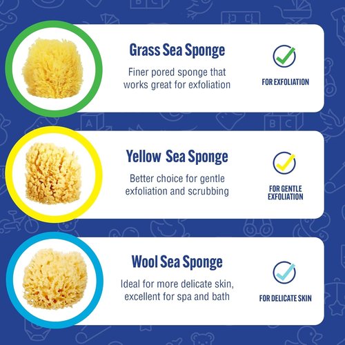 Baby Buddy Natural Bath Sponge, Ultra-Soft Sea Wool, Gentle on Baby's Skin, Hypoallergenic, Biodegradable, 3-Pack, 4in for Baby & Infant Bath Time