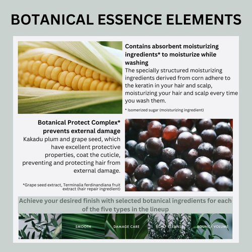Botanist Japanese Organic & Natural Shampoo for Dry Hair, Hydrating & Moisturizing Hair Shampoo with Pump for Women & Men to Moist Hair, Sulfate & Silicone Free, Apricot & Jasmine 490 mL/16.5 fl Oz