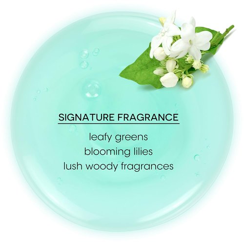 Bain de Terre Balancing Shampoo & Conditioner Set - Green Meadow | Restores Balance for Normal, Oily Hair | Paraben-Free | Color-Safe | 13.5 Fl Oz
