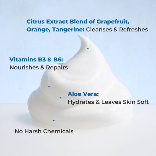 Nurture Rinse Free Waterless Foaming Cleanser | Women, Camping, Elderly & Hospital Care | Waterless Shower & Bath Wash w/Aloe for Sensitive Dry Skin