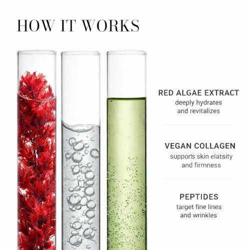 Noku Marine Cream - EWG Verified Ultra-Hydrating Anti-Aging Moisturizer with Red Algae & Vegan Collagen | 50 ml | Vegan & Cruelty-Free