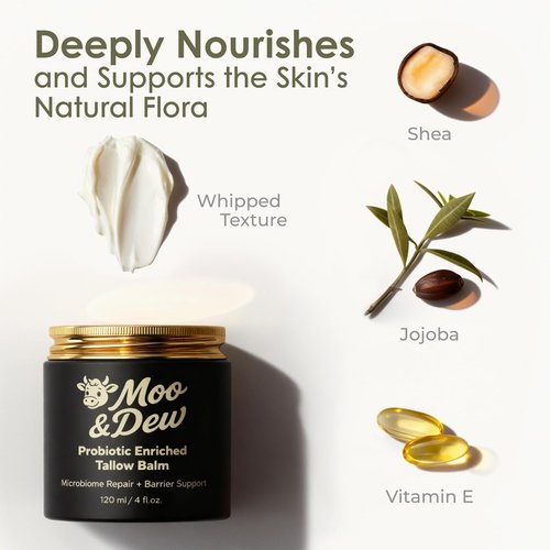 Beef Tallow for Skin & Face – Probiotic-Enriched Tallow Balm, Pasture-Raised Moisturizer with Citrus Extract, Hydrating Cream for Dry or Sensitive Skin, Gift Box & Bamboo Spatula Included (4 fl oz)