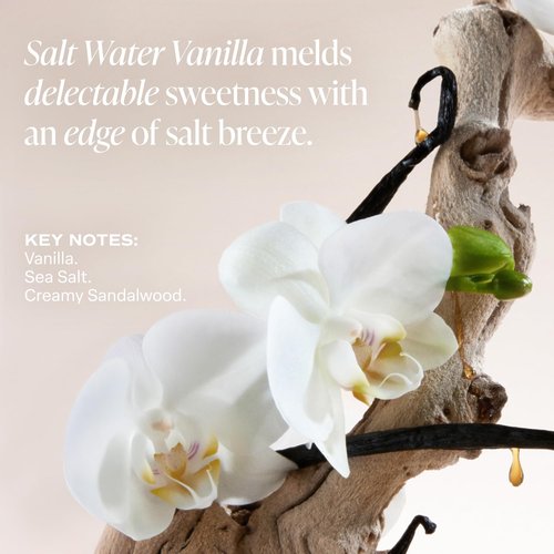Saltair Multi-Lipid Body Butter - Rich, Nourishing Hydrating Body Cream with Ceramide Complex, Coconut Oil, Shea Butter, and Sea Buckthorn. Moisturizing Dry Skin Care. 10oz Jar - Salt Water Vanilla