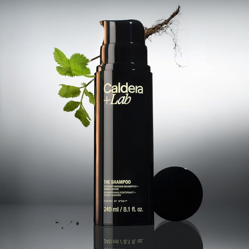 Caldera + Lab The Shampoo - Sulfate-Free Daily Cleanser for Healthy Hair | Dermatologically Tested for All Hair Types
