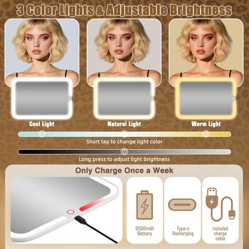 15''X11'' Large Makeup Bag with Removable Lighted Mirror, Professional Travel Make up Bag with Mirror and Light Cosmetic Train Case Organizer, PU Leather with Adjustable Dividers & Brush Storage Board