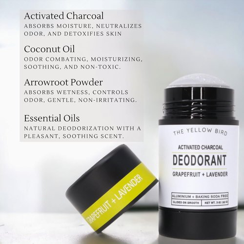 Regine Switzerland Magnesium Deodorant - Natural, Aluminum-Free Formula for Sensitive Skin | Long-Lasting Protection