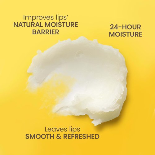 Burt's Bees Lip Balm - Vanilla Bean, Natural Beeswax Moisturizer, Tint-Free | 2 Tubes, 0.15 oz.
