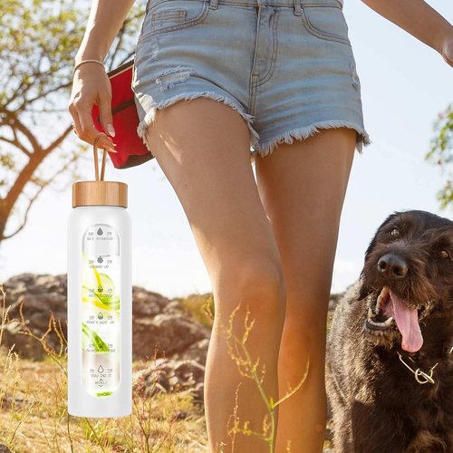 Aqulea Glass Water Bottle - 25 Oz BPA-Free Reusable with Silicone Sleeve & Fruit Infuser | Leak-Proof Design